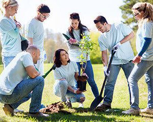 Helping animals 1